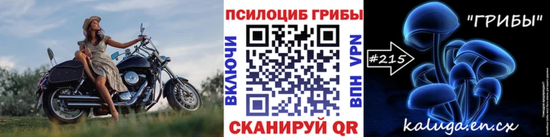 ОМГ ОМГ ссылки  закладки  Новосибирск  Псилоцибиновые грибы Psilocybine cubensis 