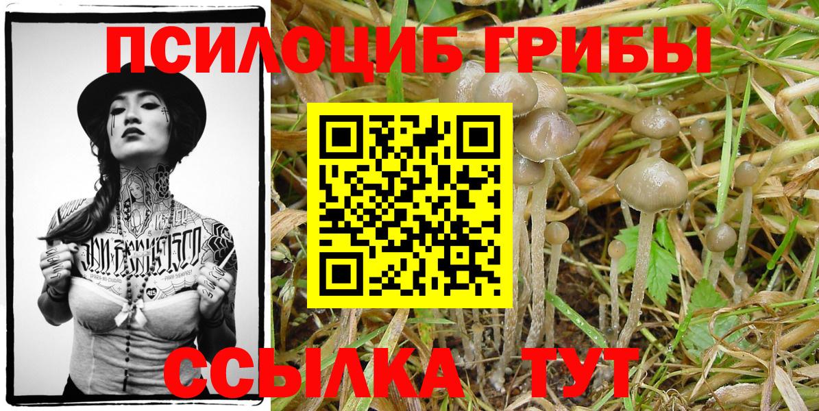 Псилоцибиновые грибы ЛСД Новосибирск