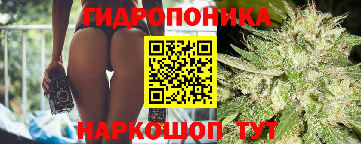 Конопля сатива  Вход с VPN  Бошки Шишки SATIVA & INDICA  Шишки марихуана VHQ  Новосибирск 